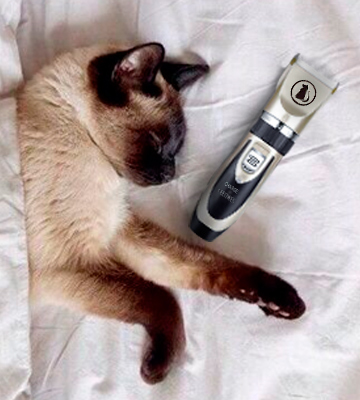 Ceenwes Rechargeable Low Noise Pet Clippers - Bestadvisor