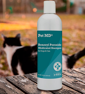 Pet MD Effective for Dandruff Shampoo for Dogs and Cats - Bestadvisor