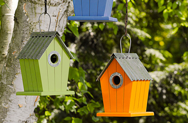 Best Bird Houses for Your Garden and Porch  