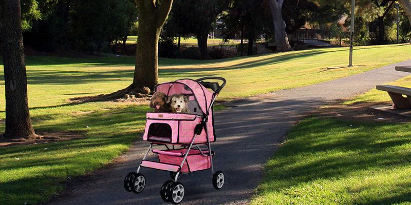 Review of BestPet 4 Wheels Pet Dog Cat Stroller w/RainCover
