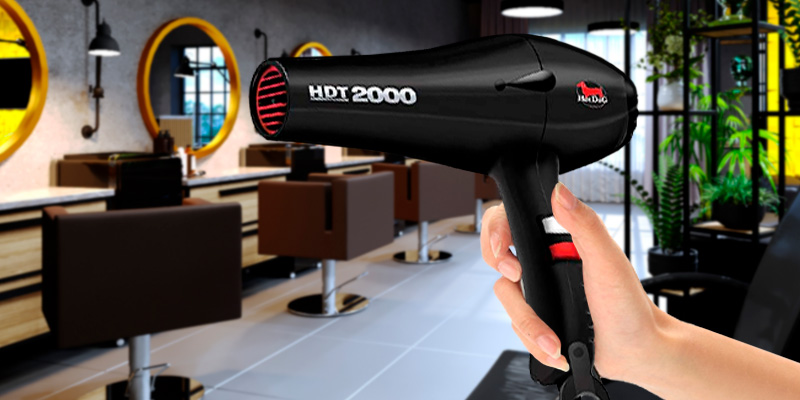 Review of HotDog HDT-2000 Professional Hair Dryer Most Powerful