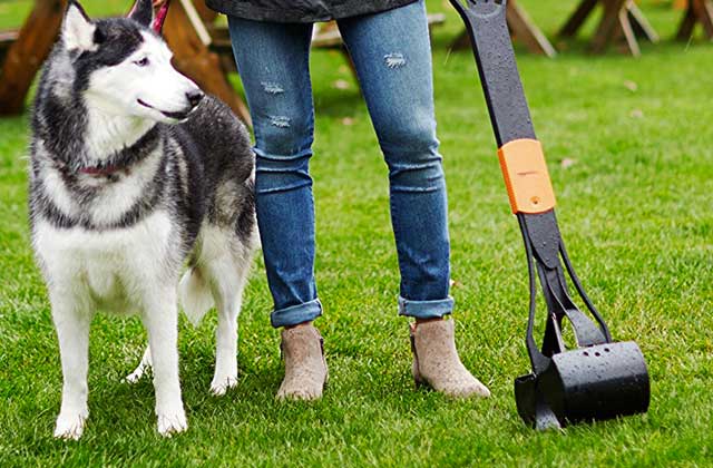 Best Pooper Scoopers for Mess-free Dog Waste Collecting  