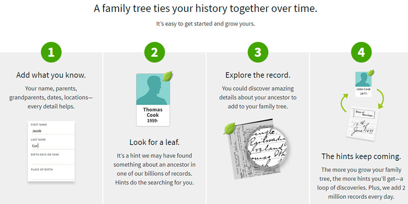 Review of Ancestry Family Tree