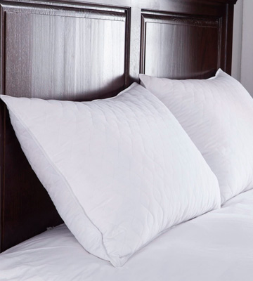puredown Quilted Set of 2 Goose Feather and Down Pillow - Bestadvisor