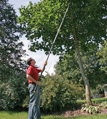 Fiskars Extendable Tree Pruning Stik Pruner - Bestadvisor