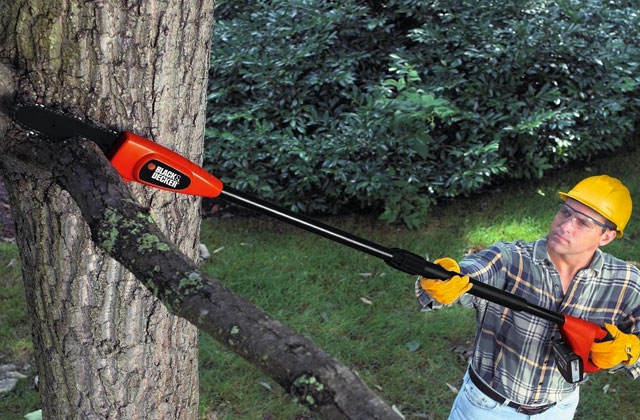 Best Pole Chainsaws for Easy Tree Pruning  