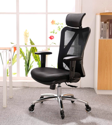 XUER Ergonomic Mesh Computer Desk Chair for Home and Office - Bestadvisor