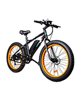 ECOTRIC Electric Fat Tire Bike