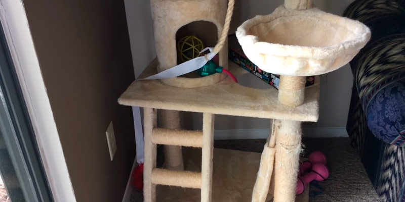 Detailed review of Go Pet Club Cat Tree Furniture - Bestadvisor