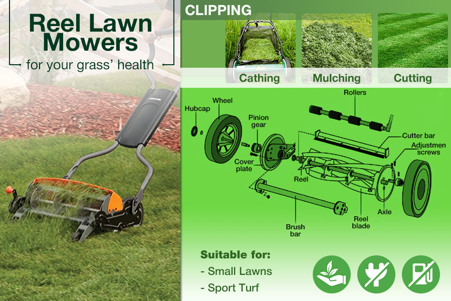 Comparison of Reel Push Lawn Mowers to Keep Your Lawn Tidy