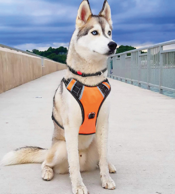 BABYLTRL Adjustable Oxford Soft Big Dog Harness - Bestadvisor