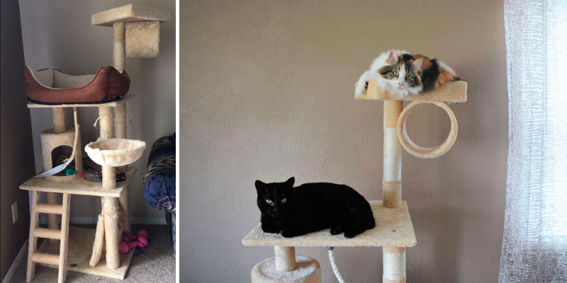 Review of Go Pet Club Cat Tree Furniture
