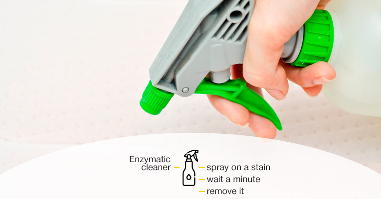 Instructions on how to use enzymatic cleaner