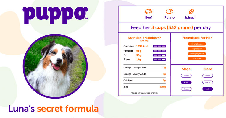 Secret formula of Puppo food