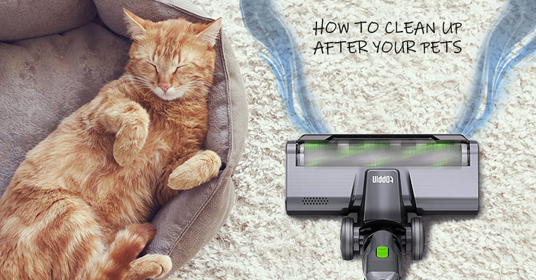 How to Clean Up After Your Pets