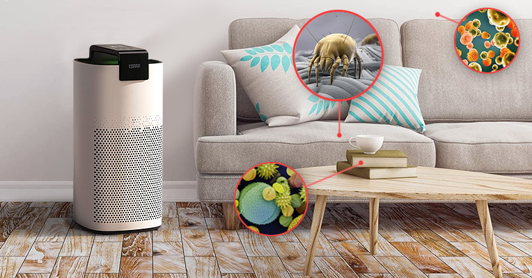 Air purifiers effectively remove allergens