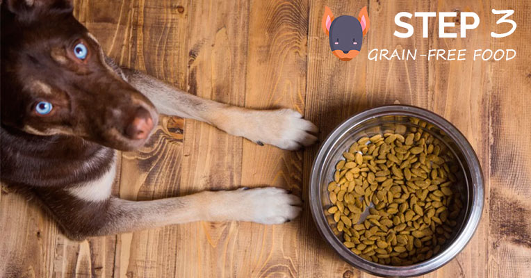 Grain-free dog food