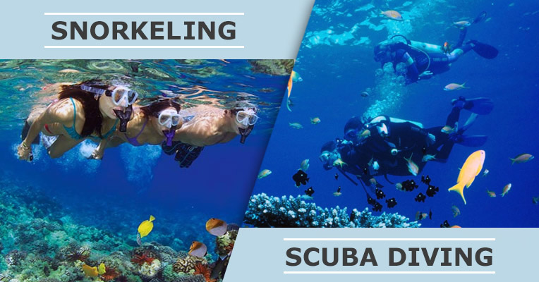 Snorkeling vs. scuba diving