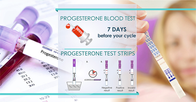 A Progesterone Test