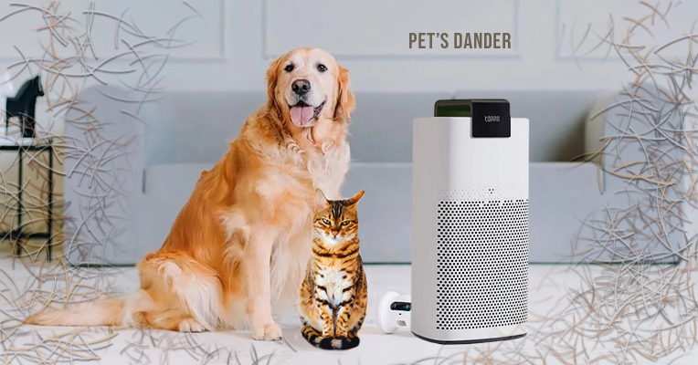 Air purifiers capture pet's dander and hair