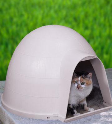 Petmate Kitty Kat Condo Outdoor Cat House 