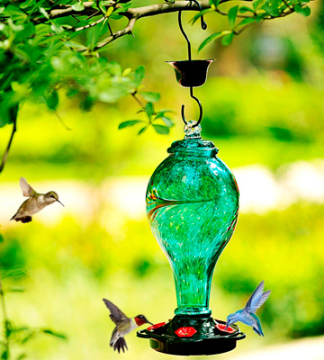 Review of LUJII Hummingbird Feeder Hand Blown Glass Hummingbird Feeder, Never Fade