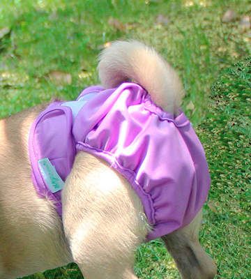 Review of Wegreeco Washable Female Dog Diapers