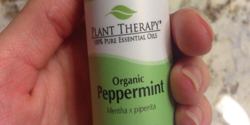 Review of Plant Therapy Mentha x piperita Organic Peppermint Essential Oil