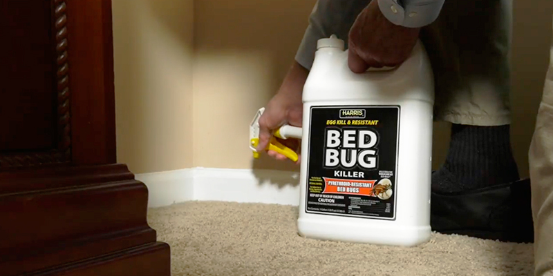 Review of Harris Liquid Spray Bed Bug Killer