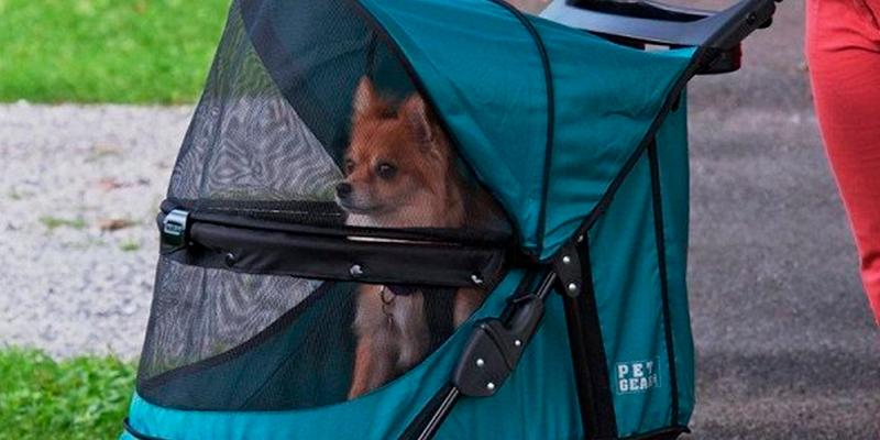 Detailed review of Pet Gear Happy Trails No Zip Pet Stroller