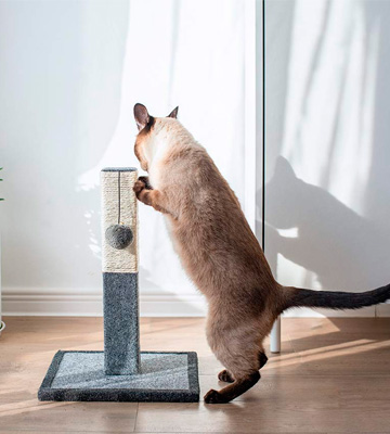 Review of Catry Scratching Post Cat Tree Cat Scratching Post
