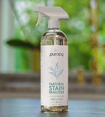 Review of Puracy Natural Plant-Based Spot & Odor Eliminator