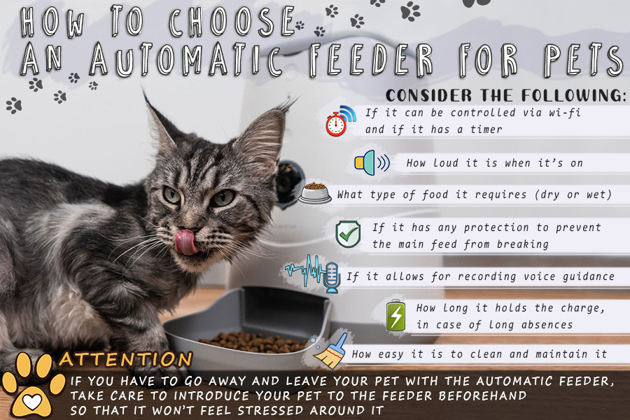Comparison of Automatic Pet Feeders