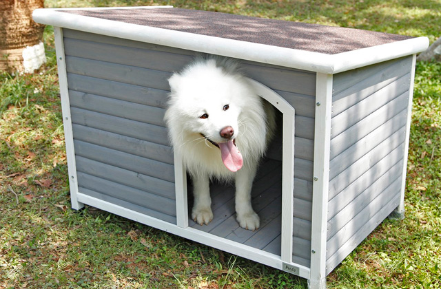 Best Dog Houses  