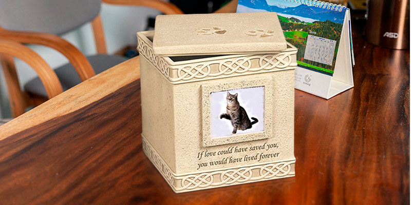 Review of MMP Living Front photo Pet Urn Memorial
