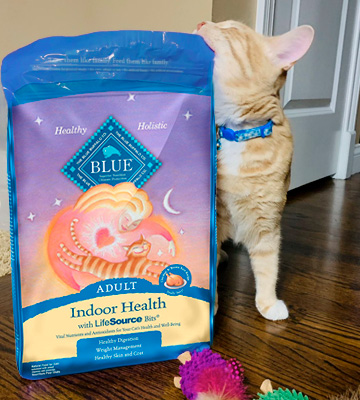 Review of Blue Buffalo Indoor Health Natural Adult Dry Cat Food