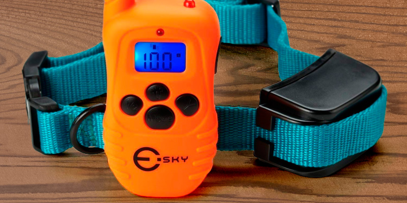 Review of Esky Rainproof Rechargeable Shock Dog Training Collar