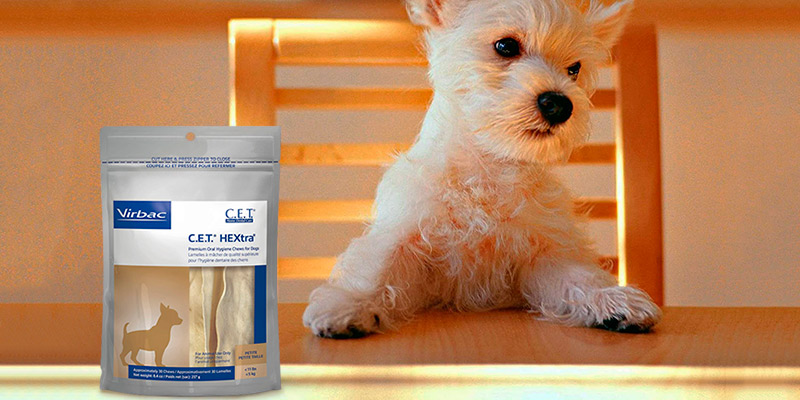 Review of Virbac Oral Hygiene Chews for Dogs