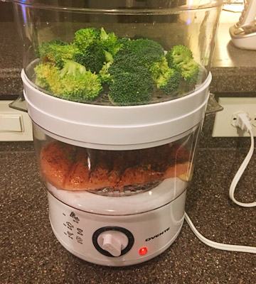 Review of Ovente FS53 W Electric Vegetable and Food Steamer