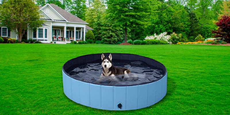 Review of Yaheetech Foldable Hard Plastic Dog Pet Bath Swimming Pool