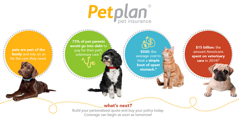 Review of Petplan Pet Insurance
