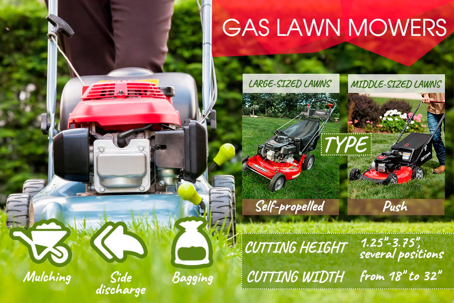 Comparison of  Gas Lawn Mowers