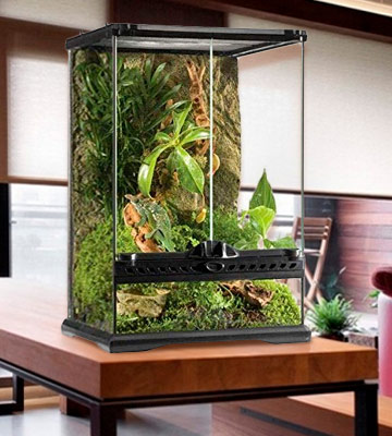 Review of Exo Terra Allglass Terrarium Glass terrarium for reptiles or amphibians