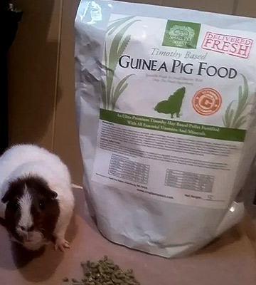 Review of Small Pet Select Pellets Guinea Pig Food