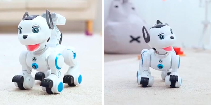 Review of fisca LN0011 Remote Control Robotic Dog