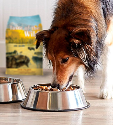 Review of Taste of the Wild High Prairie Grain Free High Protein Natural Dry Dog Food