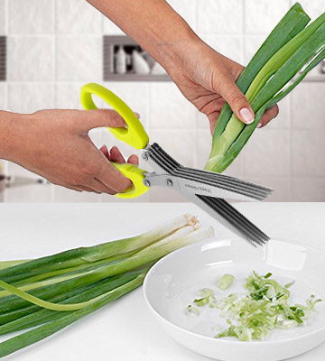 Review of Utopia Kitchen 5 Blade Herb Scissors