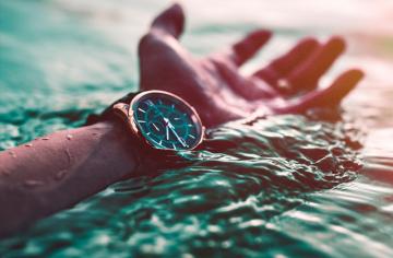 Best Dive Watches  
