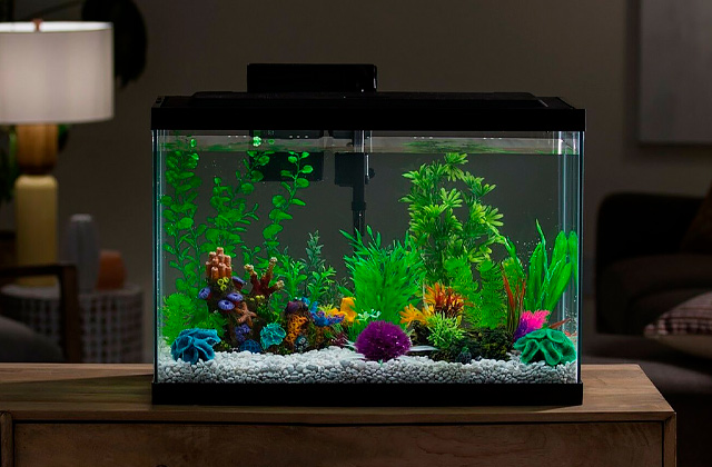 Best Aquariums (Fish Tanks)  