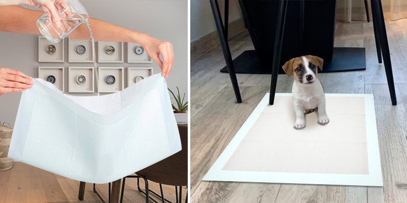 Review of AmazonBasics Dog and Puppy Potty Training Pads